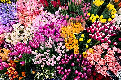 《DOTA2》TI12中国区预选赛8月17日开战